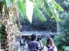 cj0077